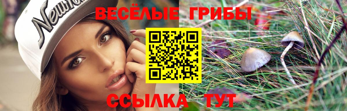 Псилоцибиновые грибы Psilocybine cubensis  Вход с VPN  Псилоцибиновые грибы MAGIC MUSHROOMS  Луховицы 