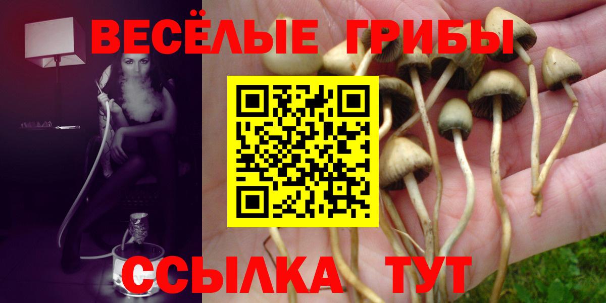 Галлюциногенные грибы MAGIC MUSHROOMS Луховицы